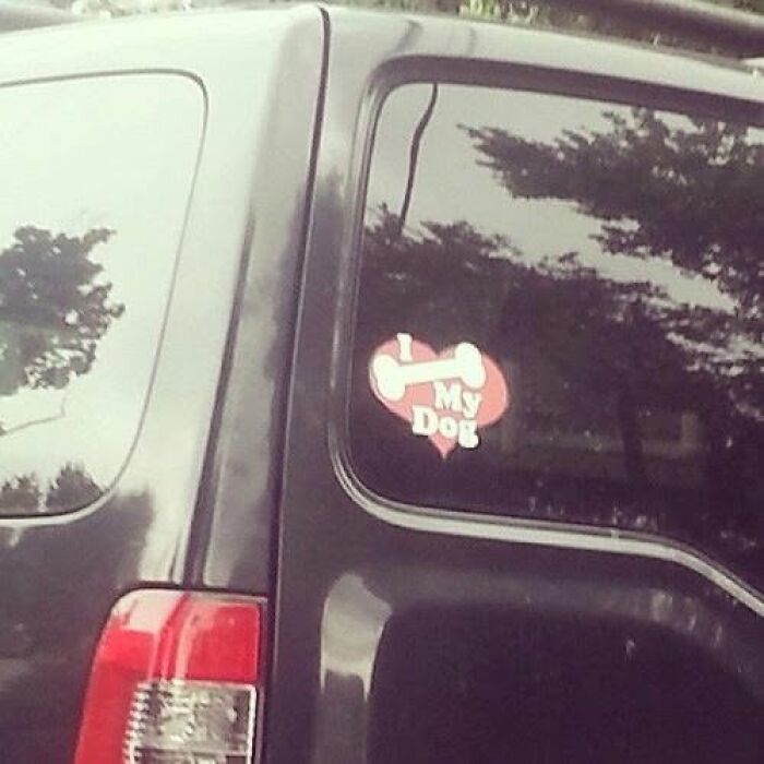 Oops, You Had ONE Job! 51 Hilarious Fails That’ll Make You LOL