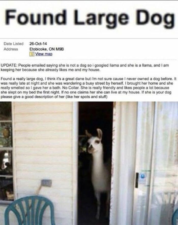 Oops, You Had ONE Job! 51 Hilarious Fails That’ll Make You LOL
