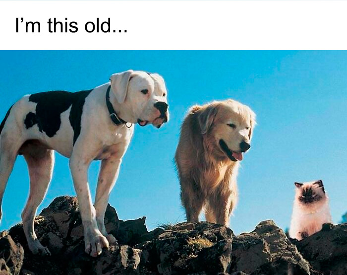 Things From The '90s That Would Totally Stump Kids Today