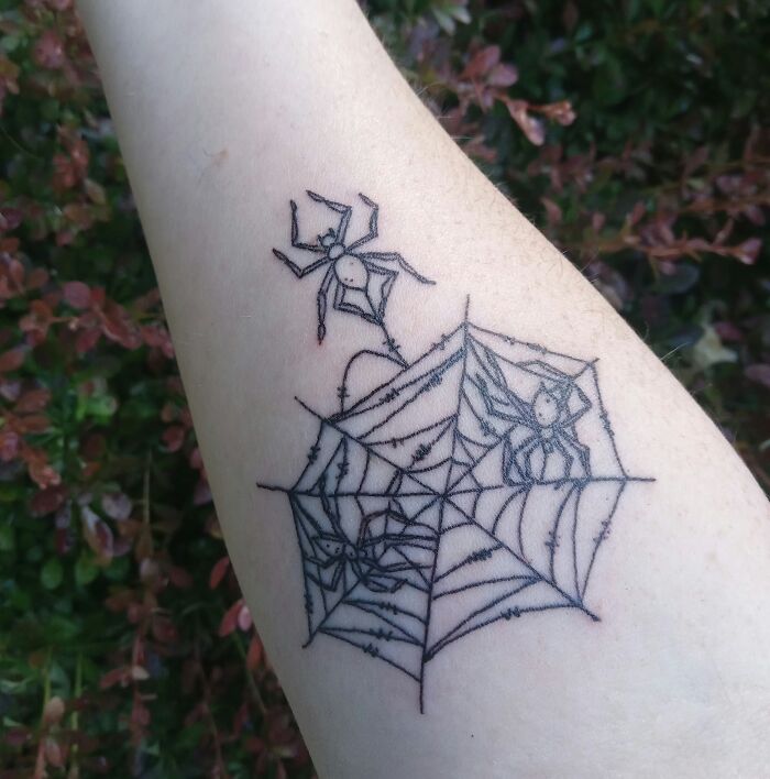Two Spiders on a Web for Earthside Kids and One Still Connected Beyond