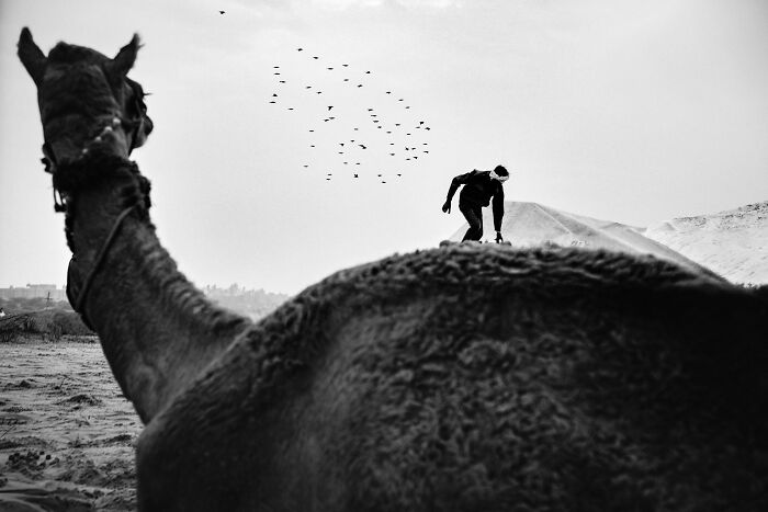 Check Out These Black & White Snaps That Totally Nail Life's Real Moments (66 Pics!)