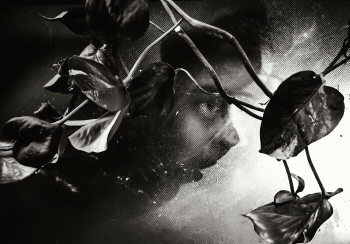 Check Out These Black & White Snaps That Totally Nail Life's Real Moments (66 Pics!)