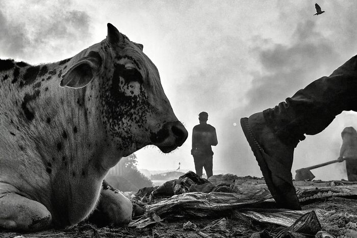 Check Out These Black & White Snaps That Totally Nail Life's Real Moments (66 Pics!)