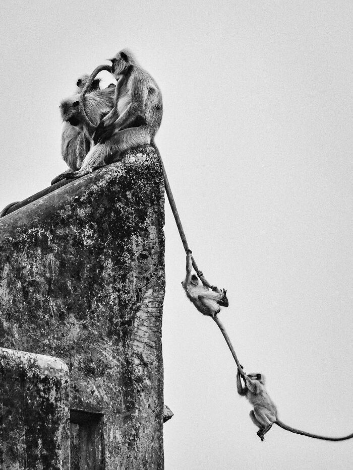 Check Out These Black & White Snaps That Totally Nail Life's Real Moments (66 Pics!)