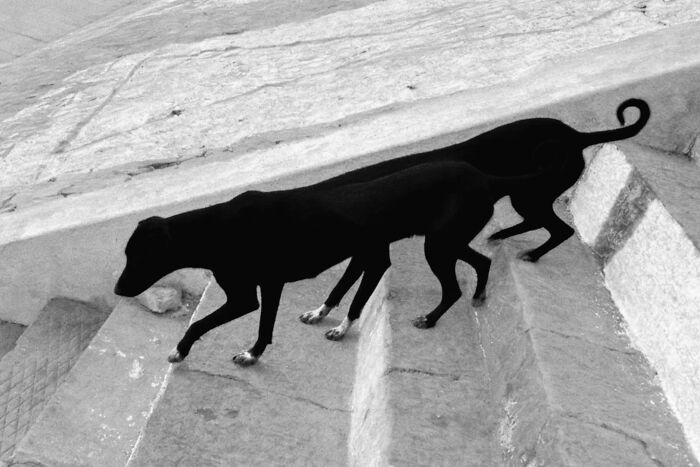 Check Out These Black & White Snaps That Totally Nail Life's Real Moments (66 Pics!)