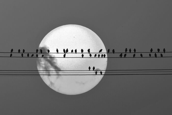 Check Out These Black & White Snaps That Totally Nail Life's Real Moments (66 Pics!)