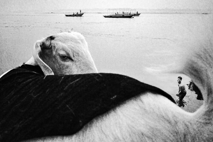 Check Out These Black & White Snaps That Totally Nail Life's Real Moments (66 Pics!)