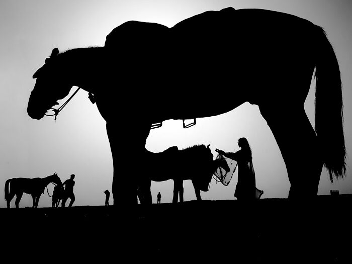 Check Out These Black & White Snaps That Totally Nail Life's Real Moments (66 Pics!)