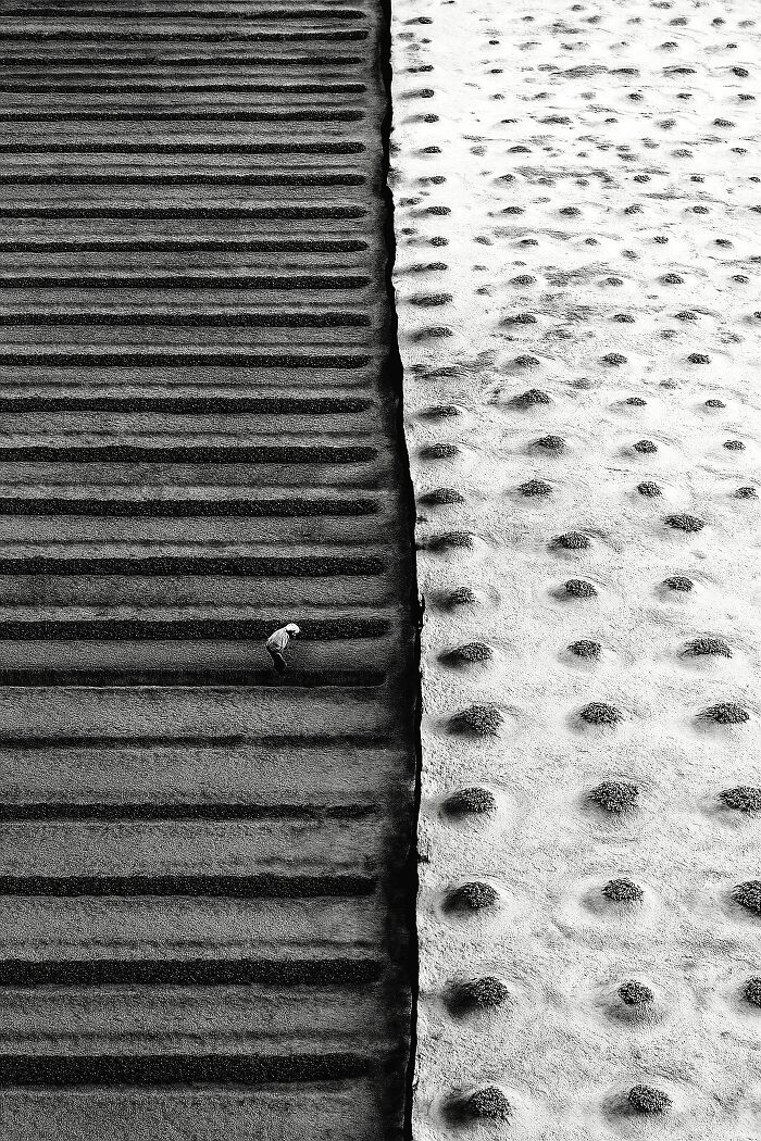 Check Out These Black & White Snaps That Totally Nail Life's Real Moments (66 Pics!)