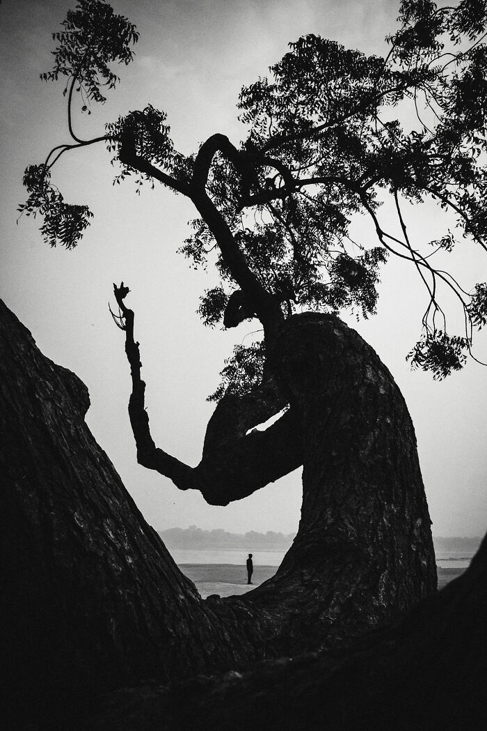 Check Out These Black & White Snaps That Totally Nail Life's Real Moments (66 Pics!)