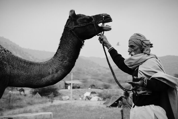 Check Out These Black & White Snaps That Totally Nail Life's Real Moments (66 Pics!)