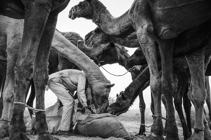 Check Out These Black & White Snaps That Totally Nail Life's Real Moments (66 Pics!)