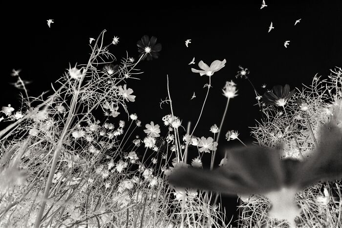 Check Out These Black & White Snaps That Totally Nail Life's Real Moments (66 Pics!)