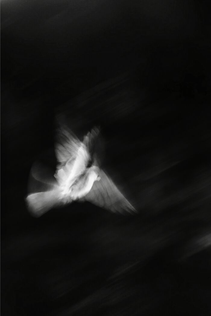 Check Out These Black & White Snaps That Totally Nail Life's Real Moments (66 Pics!)