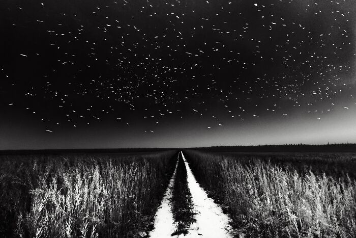 Check Out These Black & White Snaps That Totally Nail Life's Real Moments (66 Pics!)