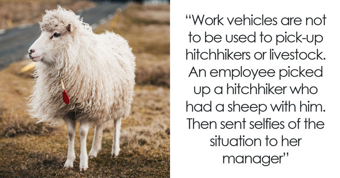 Wait, They Really Made A Rule About That?! 31 Workplace Rules Born From Pure Madness