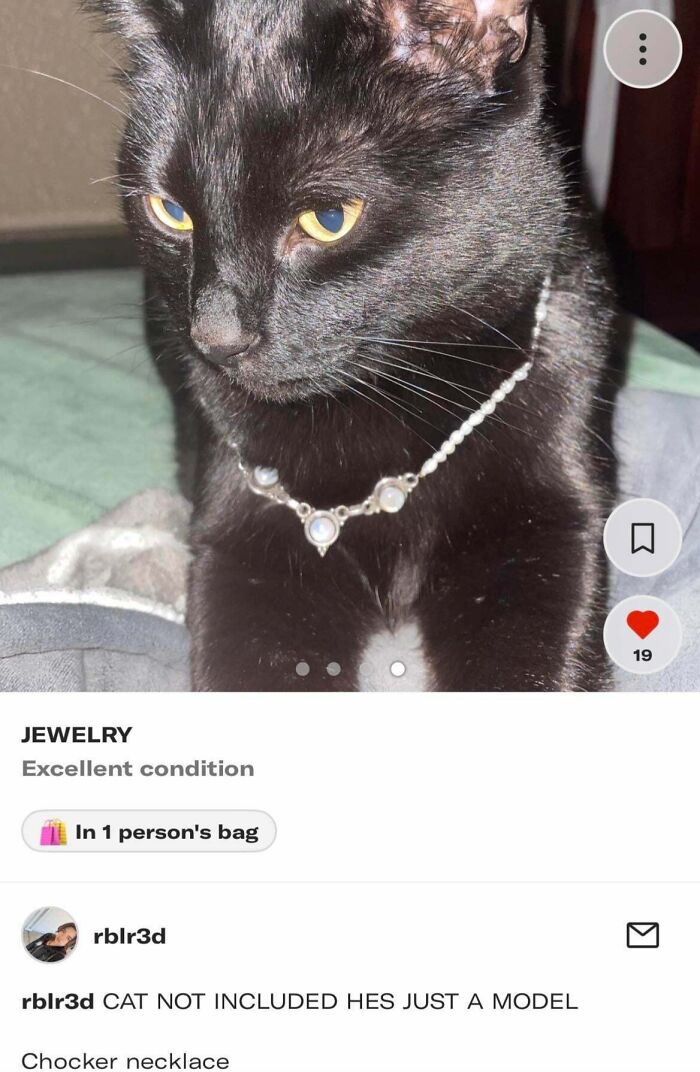 Top Tier Listing, Like Seriously