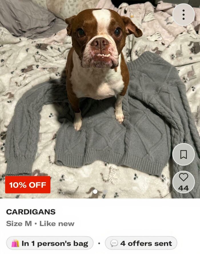Why Though?