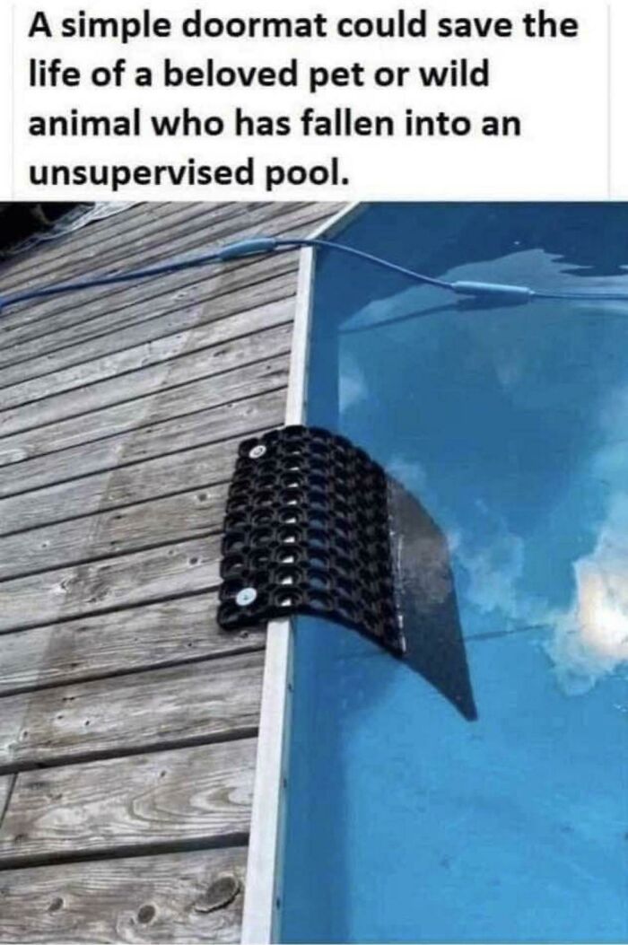 Yep, This Idea’s Not Mine But It’s Pretty Great!