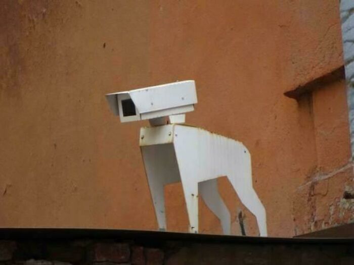 Wait, They Actually Made These Weird Designs Work?!