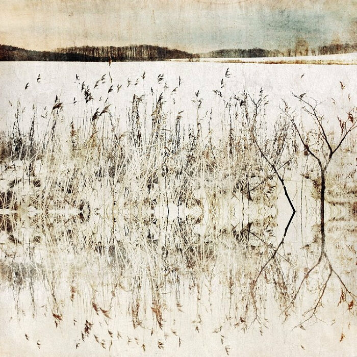 Snowfields - Nadia's Fondest Art Piece