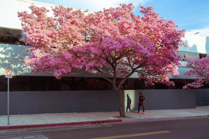 Wait Till You See These Streets—They’re Like Movie Scenes You’ll Never Watch!
