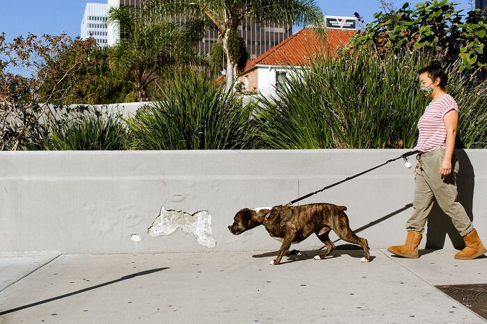 Wait Till You See These Streets—They’re Like Movie Scenes You’ll Never Watch!
