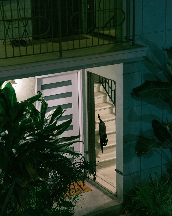Wait Till You See These Streets—They’re Like Movie Scenes You’ll Never Watch!