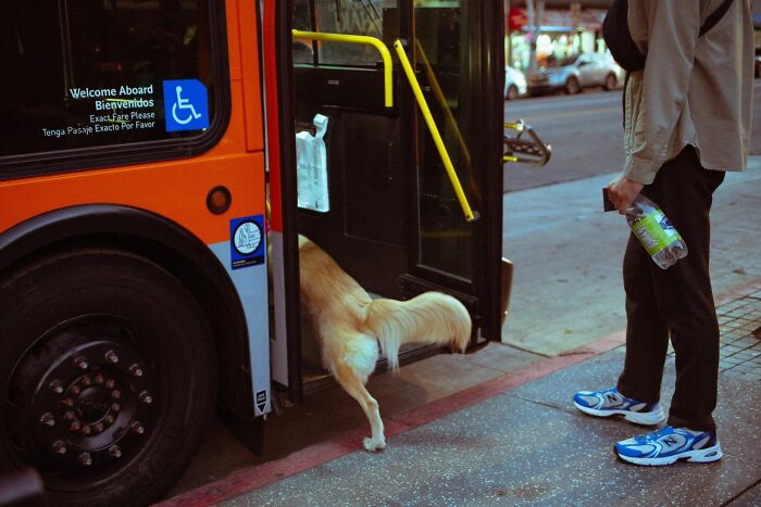 Wait Till You See These Streets—They’re Like Movie Scenes You’ll Never Watch!