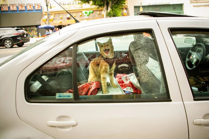 Wait Till You See These Streets—They’re Like Movie Scenes You’ll Never Watch!