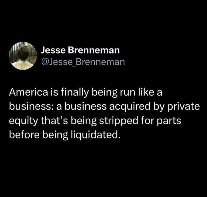 Running America Like a Business? Hmm...