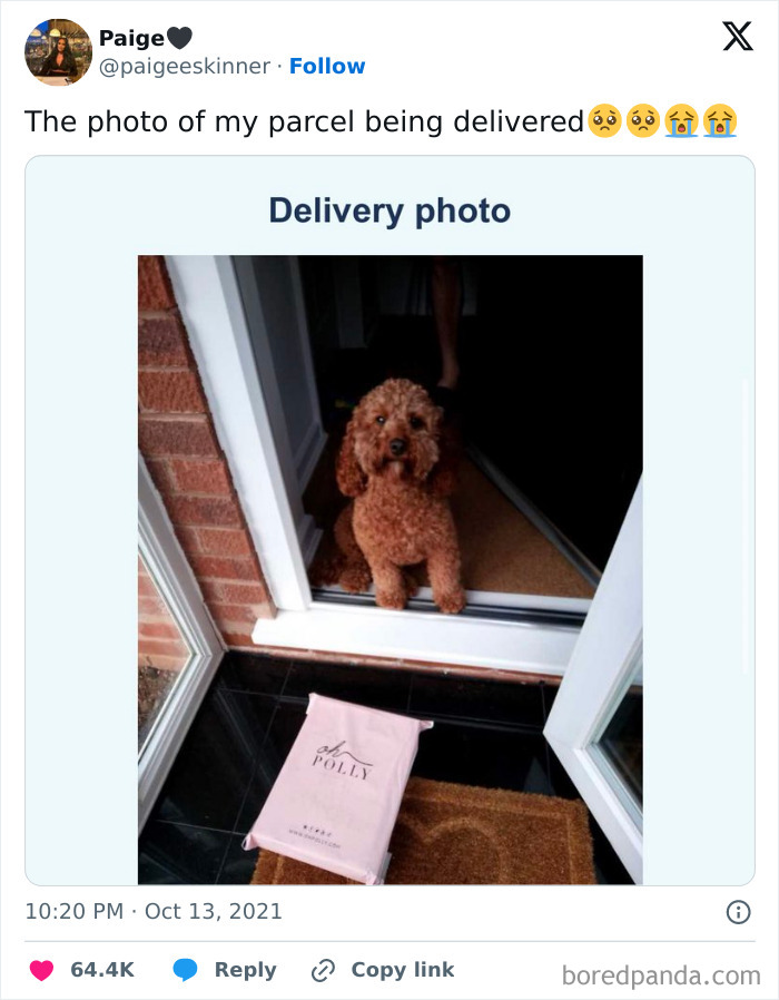 Let's Dive Into Some Hilariously British Tweets That Will Totally Crack You Up