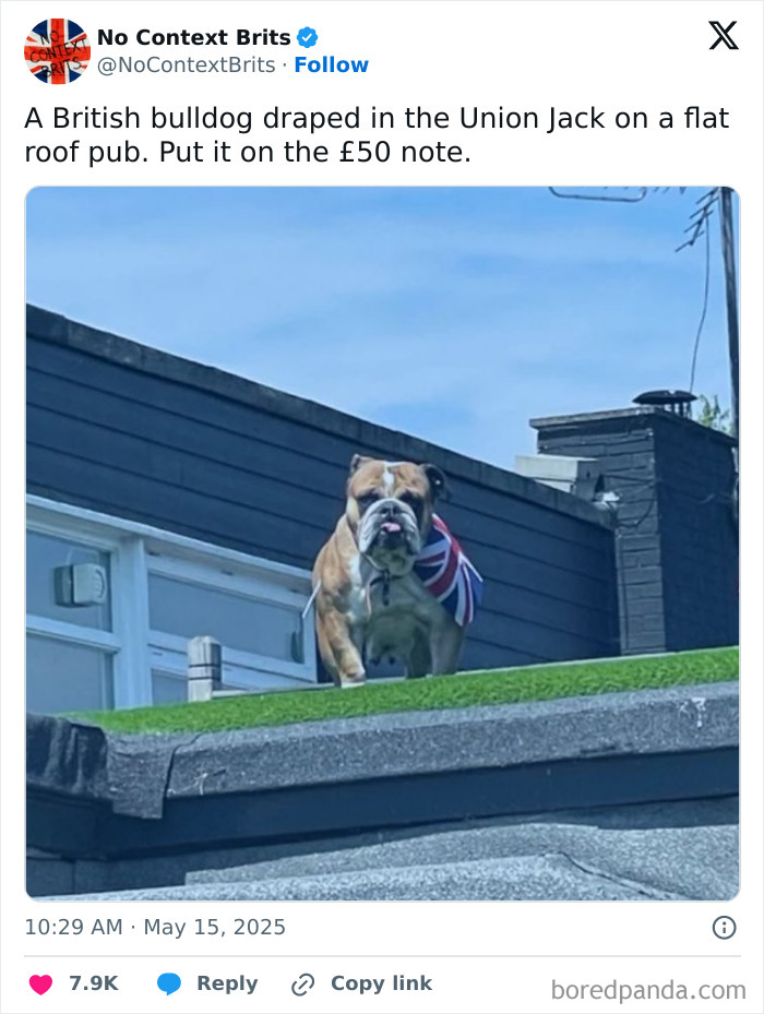 Let's Dive Into Some Hilariously British Tweets That Will Totally Crack You Up