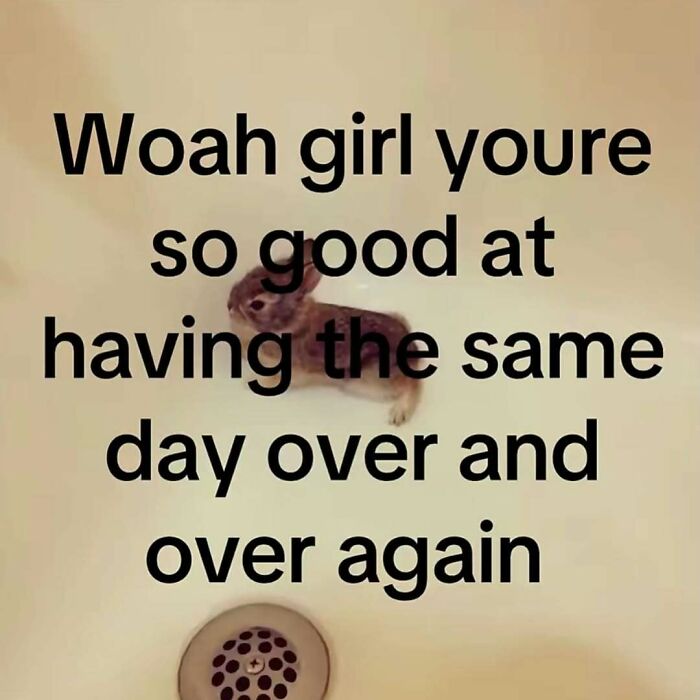 Wait, These Memes Totally Get Your Weird Habits!