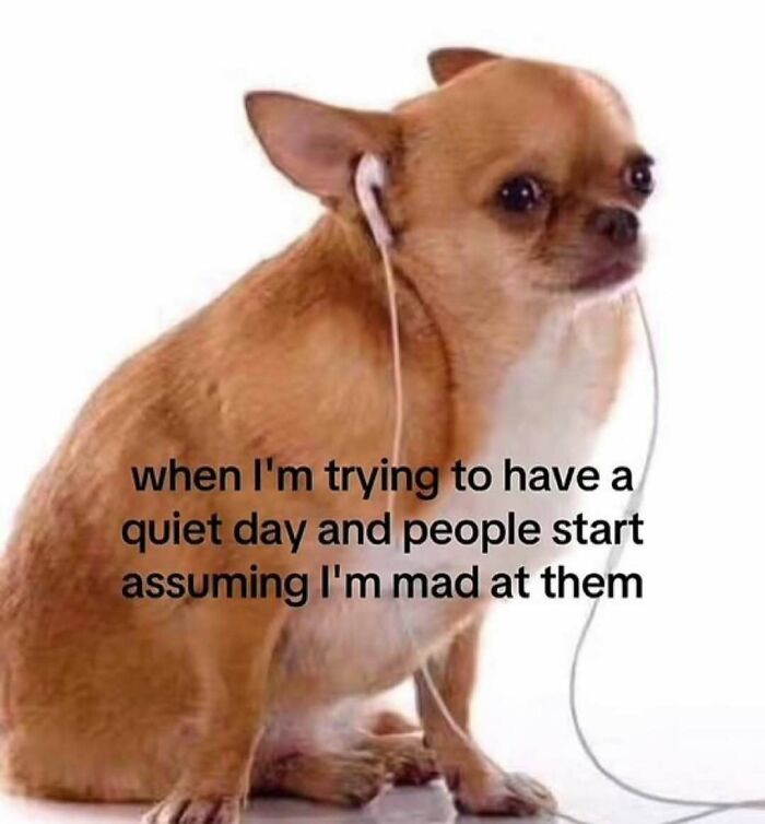 Wait, These Memes Totally Get Your Weird Habits!