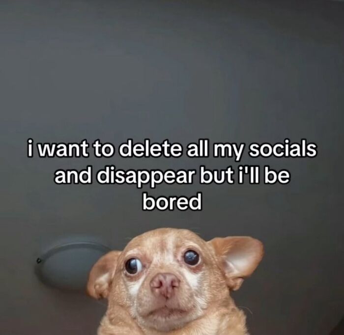 Wait, These Memes Totally Get Your Weird Habits!