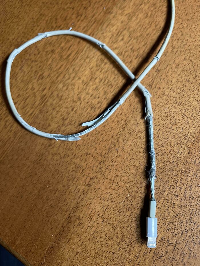 Wait, They Actually Thought These Would Last Forever?!