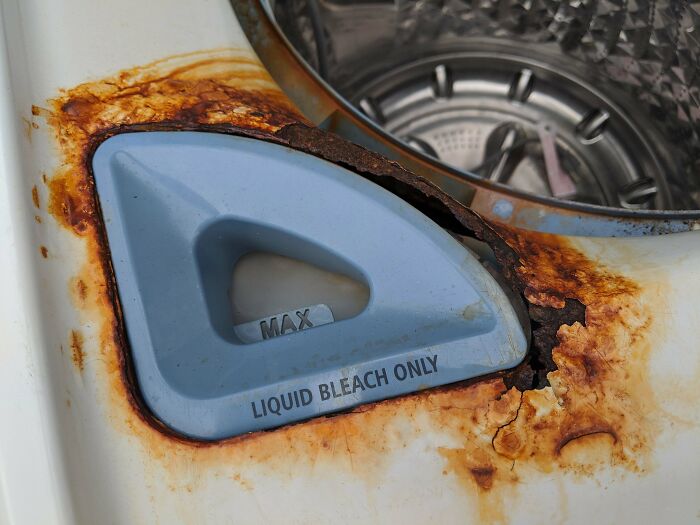 Wait, They Actually Thought These Would Last Forever?!