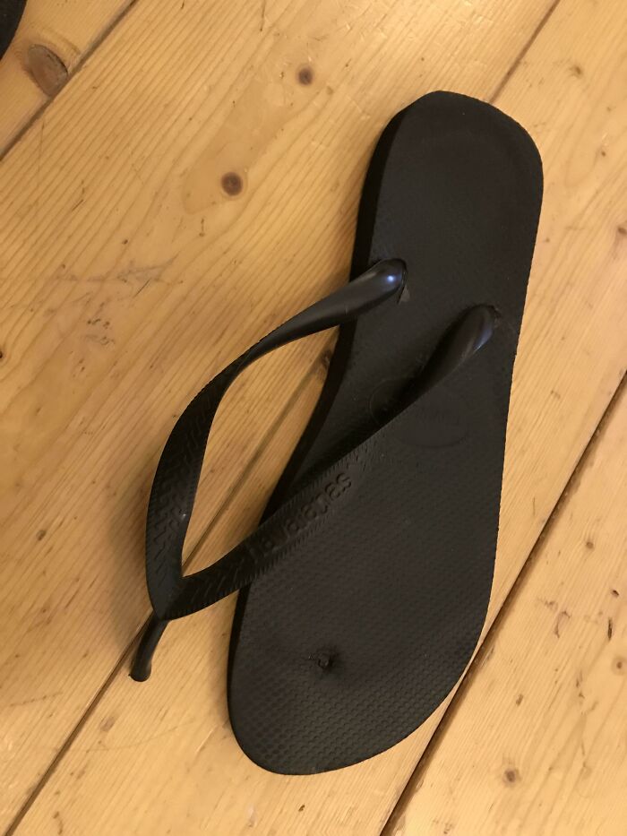 Wait, They Actually Thought These Would Last Forever?!