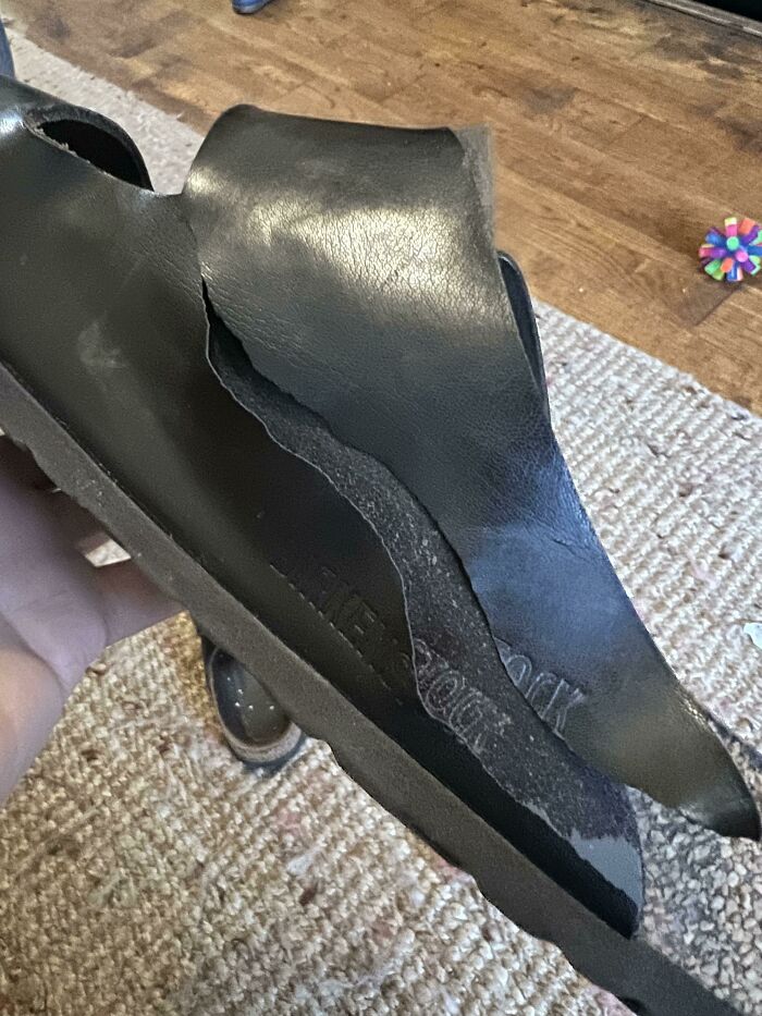 Wait, They Actually Thought These Would Last Forever?!