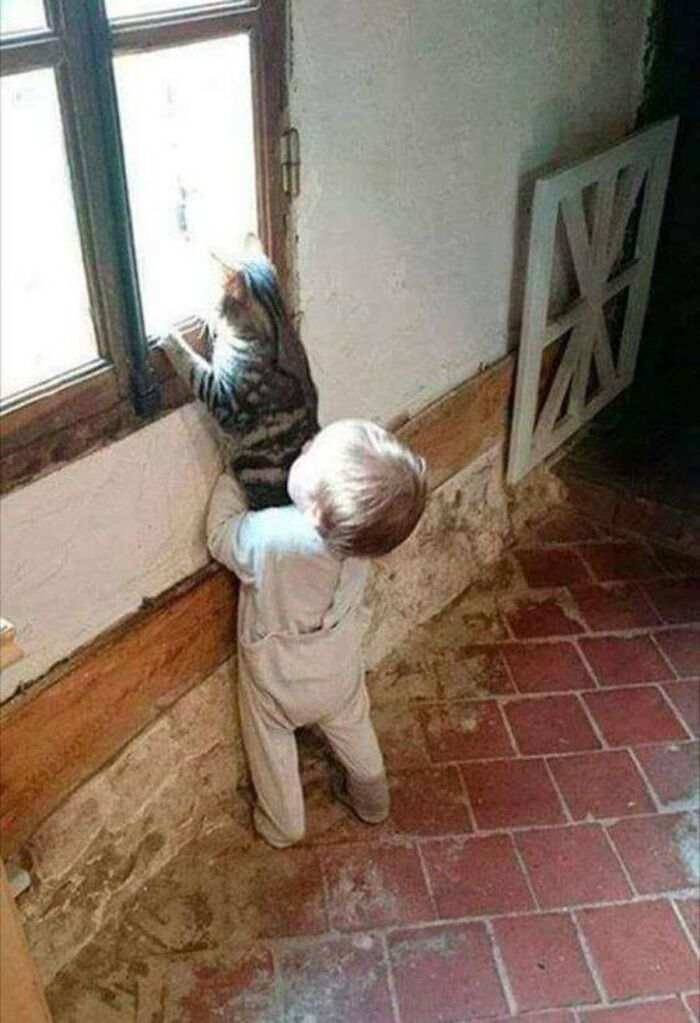 These Cats Pick the Weirdest Spots and We’re Here for It