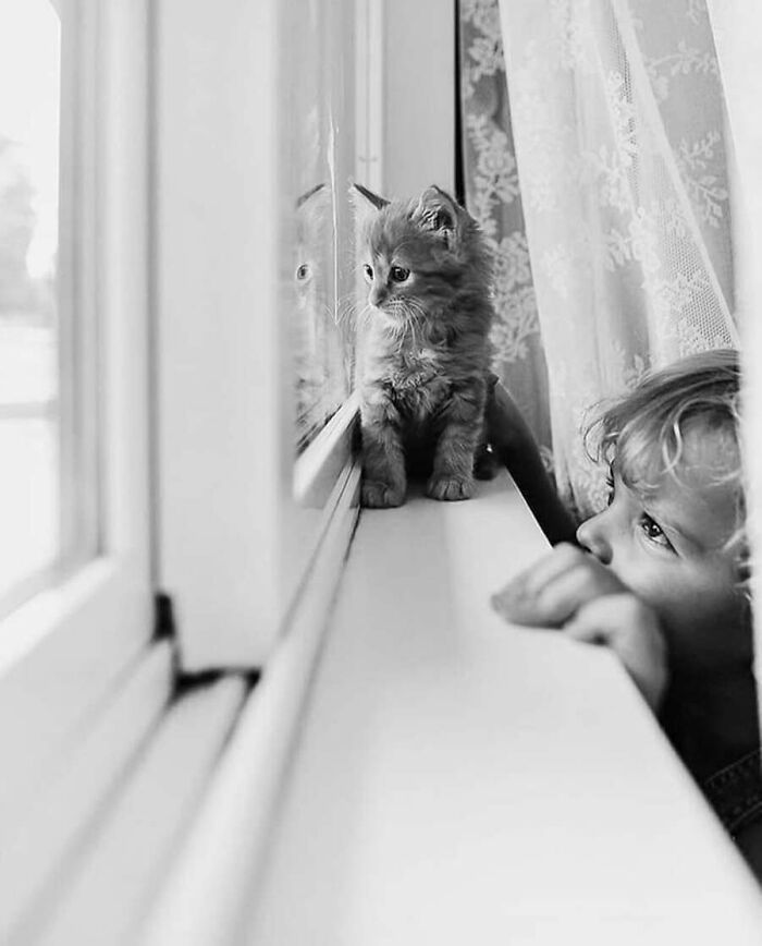 These Cats Pick the Weirdest Spots and We’re Here for It