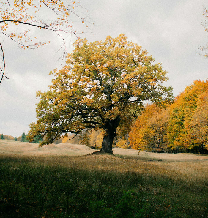 75 Tiny Stories That Prove Happiness Can Hide Anywhere (Yep, Even in Two Sentences)