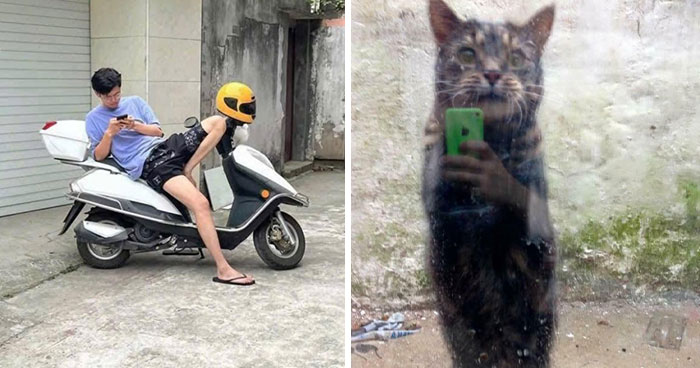 Wait, You’ve Gotta See These 80 Mind-Boggling Pics!