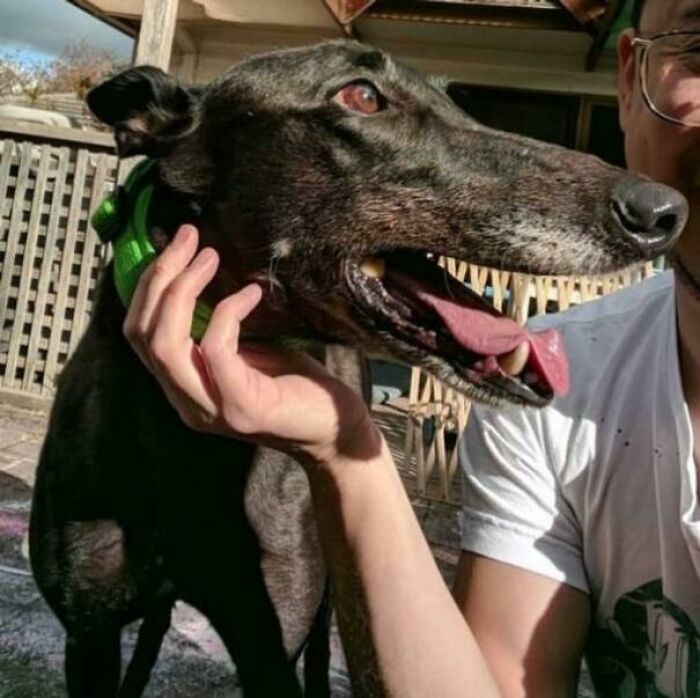Terrifying Teeth!