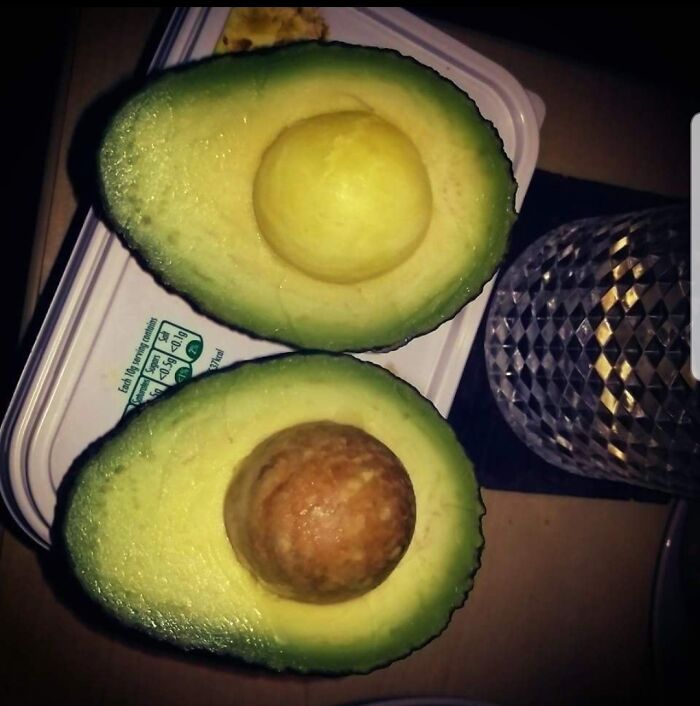 Avocado Pit? Or Another Seed?