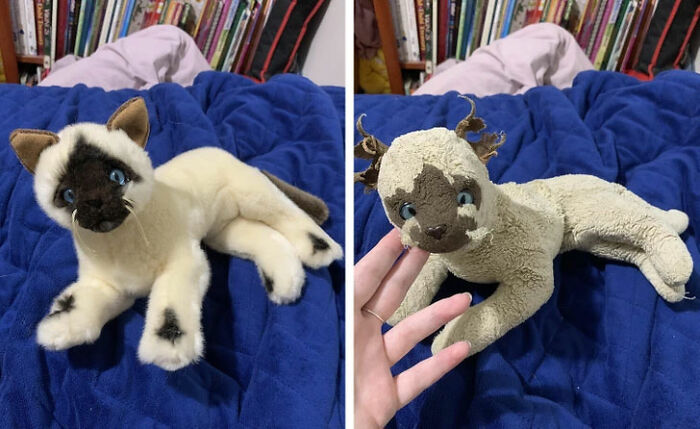 Plushie: Fresh Out of the Box vs. Childhood Survivor