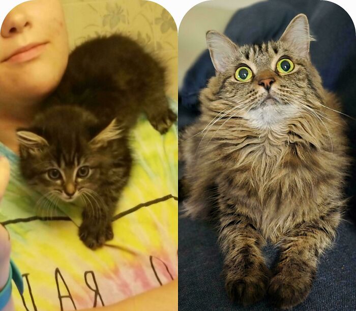 2018 vs. Tonight: Glow-Up Time!