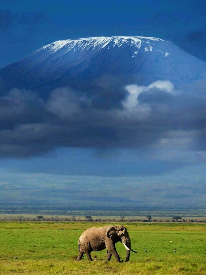 Kenya’s Got The Best Seat To View Mt. Kilimanjaro