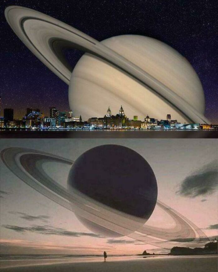 Wait, Why Are These Gigantic Things So Freaky?